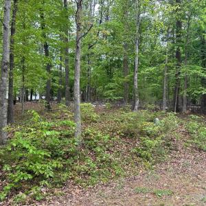 Photo #2 of 4 EAST POINT RD, PALMYRA, VA 0.4 acres