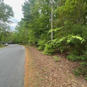 Photo #10 of 4 EAST POINT RD, PALMYRA, VA 0.4 acres