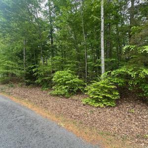Photo #1 of 4 EAST POINT RD, PALMYRA, VA 0.4 acres