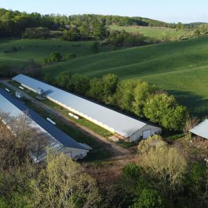 Photo #3 of 189 OAK RIDGE LN, STAUNTON, VA 195.2 acres