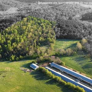 Photo #9 of 189 OAK RIDGE LN, STAUNTON, VA 195.2 acres