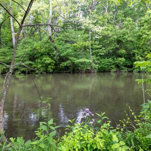 Photo #8 of STONEY CREEK RD, EDINBURG, VA 1.8 acres