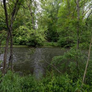 Photo #7 of STONEY CREEK RD, EDINBURG, VA 1.8 acres