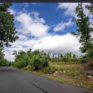 Photo #9 of Lot#5 FOX RIDGE LN, WAYNESBORO, VA 4.1 acres