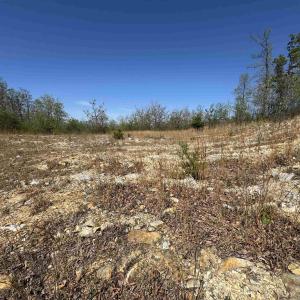 Photo #7 of Lot#5 FOX RIDGE LN, WAYNESBORO, VA 4.1 acres