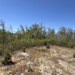 Photo #5 of Lot#5 FOX RIDGE LN, WAYNESBORO, VA 4.1 acres