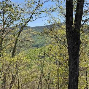 Photo #3 of Lot#5 FOX RIDGE LN, WAYNESBORO, VA 4.1 acres
