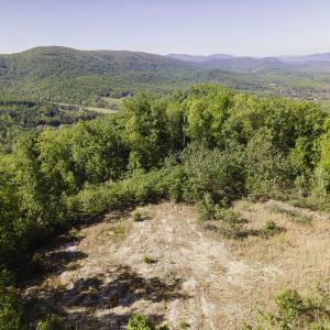 Photo #1 of Lot#5 FOX RIDGE LN, WAYNESBORO, VA 4.1 acres