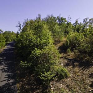 Photo #16 of Lot#5 FOX RIDGE LN, WAYNESBORO, VA 4.1 acres