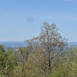 Photo #6 of Lot#5 FOX RIDGE LN, WAYNESBORO, VA 4.1 acres