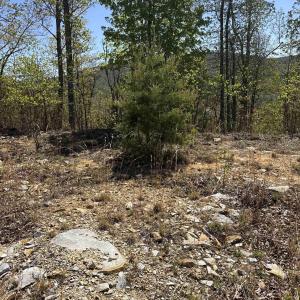 Photo #4 of Lot#5 FOX RIDGE LN, WAYNESBORO, VA 4.1 acres