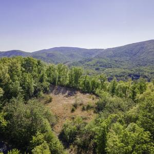 Photo #17 of Lot#5 FOX RIDGE LN, WAYNESBORO, VA 4.1 acres