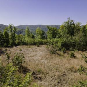 Photo #15 of Lot#5 FOX RIDGE LN, WAYNESBORO, VA 4.1 acres
