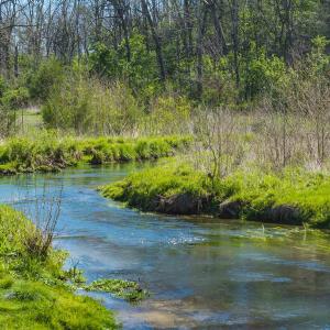 Photo #5 of TBD MOSSY CREEK RD, BRIDGEWATER, VA 2.9 acres
