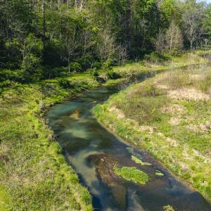 Photo #4 of TBD MOSSY CREEK RD, BRIDGEWATER, VA 2.7 acres