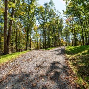 Photo #11 of 7337-4 DICK WOODS RD, AFTON, VA 23.0 acres