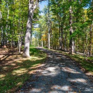 Photo #12 of 7337-4 DICK WOODS RD, AFTON, VA 23.0 acres