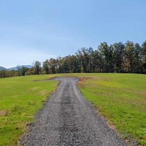 Photo #7 of 7337-4 DICK WOODS RD, AFTON, VA 23.0 acres