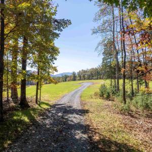 Photo #2 of 7337-4 DICK WOODS RD, AFTON, VA 23.0 acres