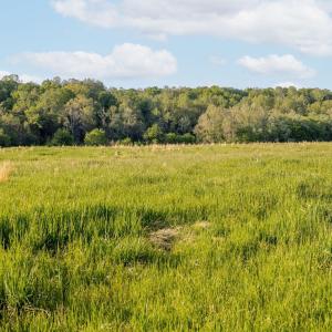 Photo #28 of 137 acres JAMES RIVER RD, HOWARDSVILLE, VA 137.1 acres
