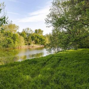 Photo #7 of 137 acres JAMES RIVER RD, HOWARDSVILLE, VA 137.1 acres