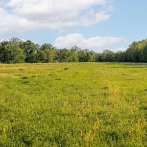 Photo #9 of 137 acres JAMES RIVER RD, HOWARDSVILLE, VA 137.1 acres