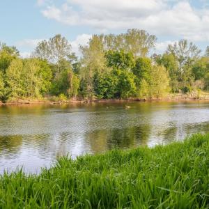 Photo #5 of 137 acres JAMES RIVER RD, HOWARDSVILLE, VA 137.1 acres