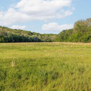 Photo #27 of 137 acres JAMES RIVER RD, HOWARDSVILLE, VA 137.1 acres