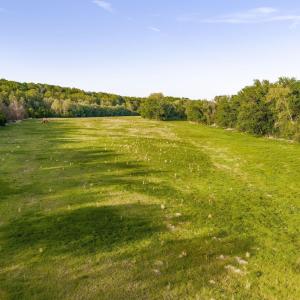 Photo #25 of 137 acres JAMES RIVER RD, HOWARDSVILLE, VA 137.1 acres