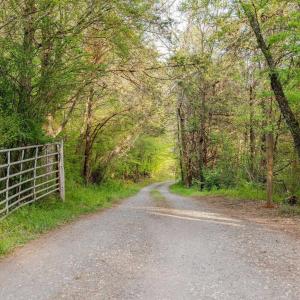 Photo #13 of 137 acres JAMES RIVER RD, HOWARDSVILLE, VA 137.1 acres