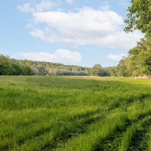 Photo #6 of 137 acres JAMES RIVER RD, HOWARDSVILLE, VA 137.1 acres