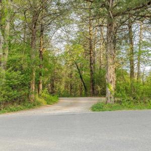 Photo #12 of 137 acres JAMES RIVER RD, HOWARDSVILLE, VA 137.1 acres