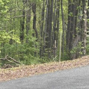 End of guardrail is the right hand side of the 25' row. Access between this and orange tape on lh side off of Reeds Gap Rd.