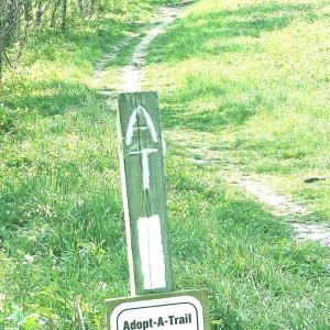 Photo #6 of REEDS GAP RD, LYNDHURST, VA 4.5 acres