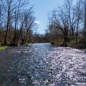 Photo #4 of Lots 1 & 2 RIVERSIDE AVE, GROTTOES, VA 2.1 acres