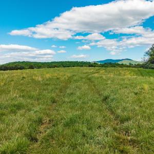 Photo #4 of TBD HATCHERY RD, GROTTOES, VA 1.6 acres