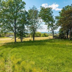 Photo #13 of TBD HATCHERY RD, GROTTOES, VA 1.6 acres