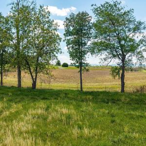 Photo #8 of TBD HATCHERY RD, GROTTOES, VA 1.6 acres
