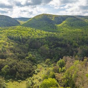 Photo #4 of 161 GLOVER RUN, GOSHEN, VA 64.1 acres