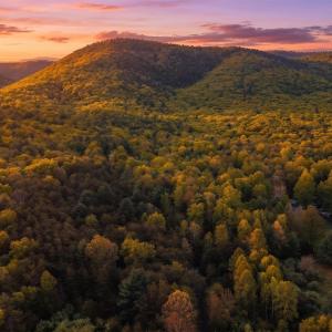 Photo #1 of 161 GLOVER RUN, GOSHEN, VA 64.1 acres