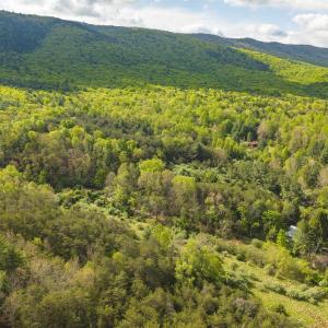 Photo #13 of 161 GLOVER RUN, GOSHEN, VA 64.1 acres