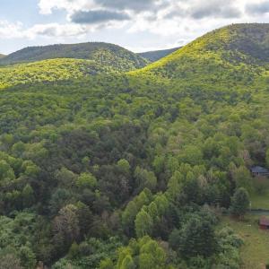 Photo #19 of 161 GLOVER RUN, GOSHEN, VA 64.1 acres