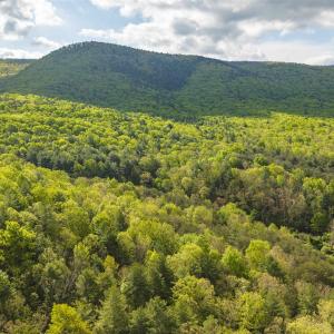 Photo #12 of 161 GLOVER RUN, GOSHEN, VA 64.1 acres