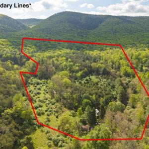 Photo #17 of 161 GLOVER RUN, GOSHEN, VA 64.1 acres