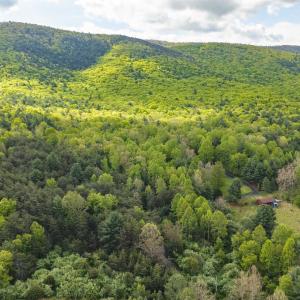 Photo #20 of 161 GLOVER RUN, GOSHEN, VA 64.1 acres