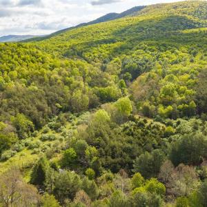 Photo #2 of 161 GLOVER RUN, GOSHEN, VA 64.1 acres