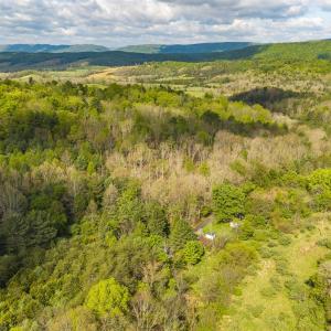 Photo #9 of 161 GLOVER RUN, GOSHEN, VA 64.1 acres