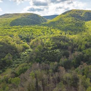 Photo #3 of 161 GLOVER RUN, GOSHEN, VA 64.1 acres