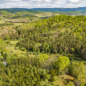 Photo #8 of 161 GLOVER RUN, GOSHEN, VA 64.1 acres