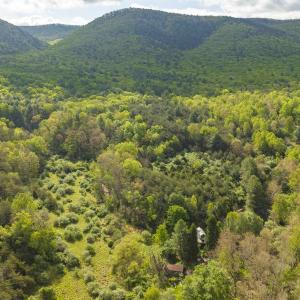 Photo #15 of 161 GLOVER RUN, GOSHEN, VA 64.1 acres